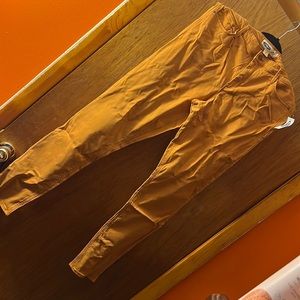 Brand new Mustard Yellow Skinny Pants